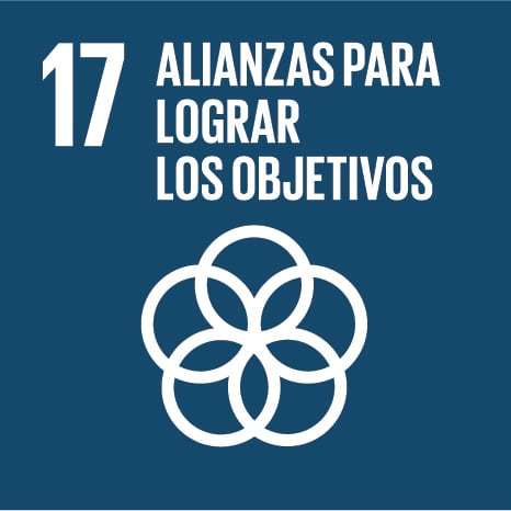 ODS - Alianzs para lograr los objetivos